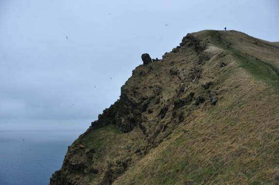 No cume do rochedo Heimaklettur, na ilha de Heimaey, no sul da Islândia